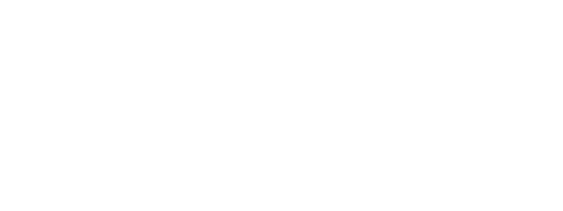 NIKKISO