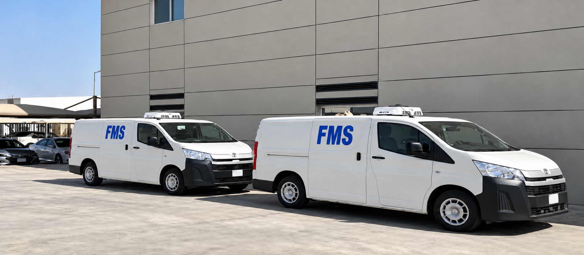 Distribution & Logistic Network